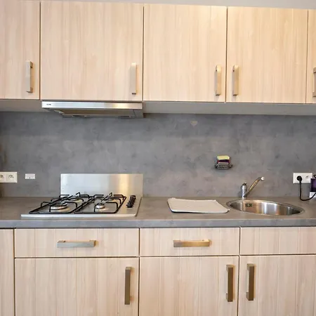 Park Haerendycke Lod4207 Holiday home *